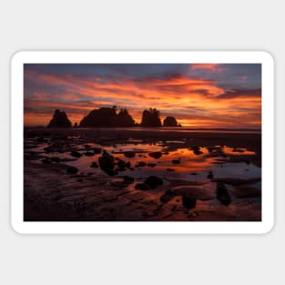 Shi Shi Beach Point of Arches sunset Sticker